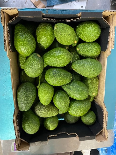 12kg Carton  Avocado Certified Organic In Conversion