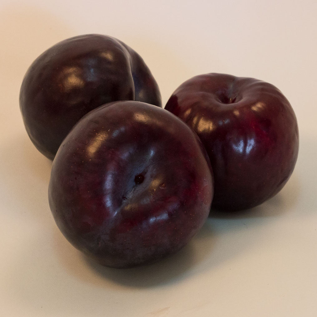 12kg Box Certified Organic Angelino Plums