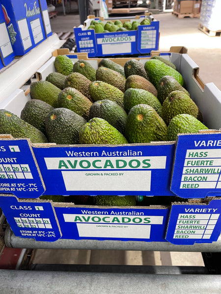 5.5kg Tray Certified Organic Avocado Grade 1