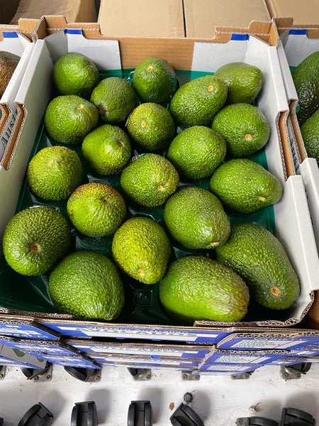 5.5kg Tray Certified Organic Avocado Grade 1