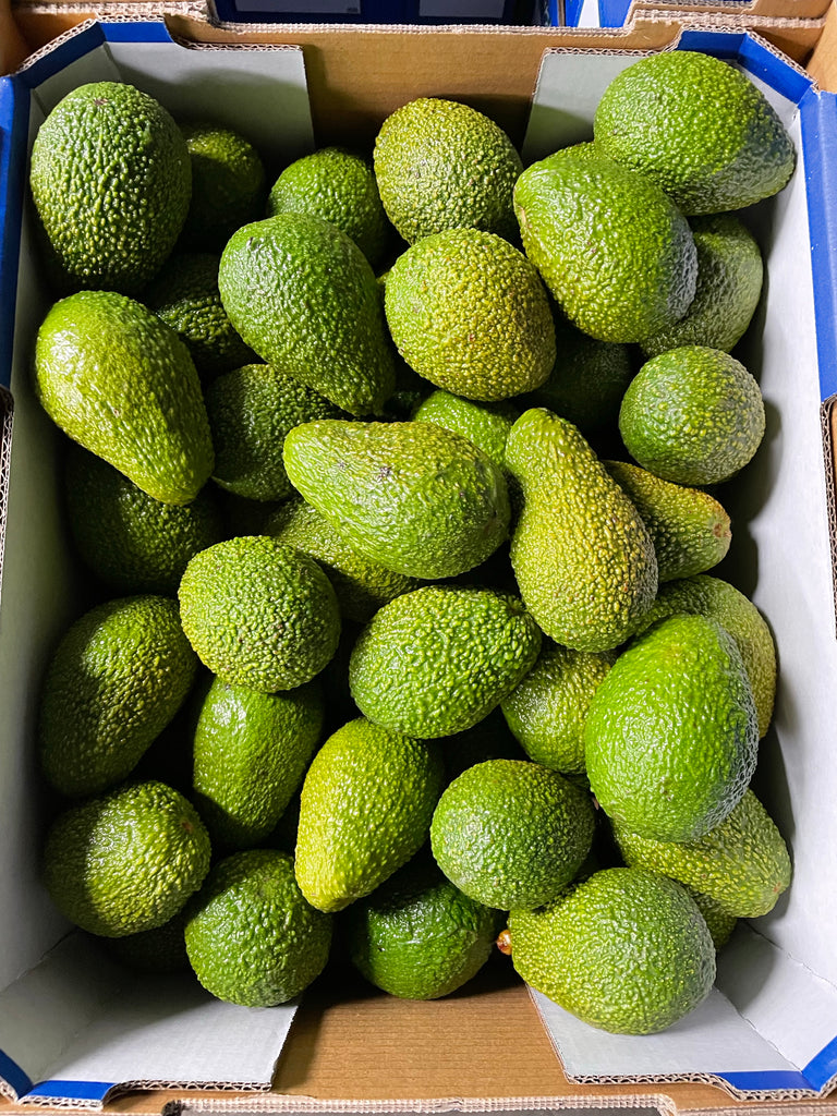 12 kg Carton Certified Organic Avocado