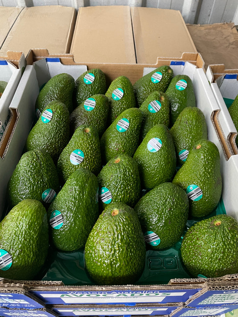 5.5kg Tray Certified Organic Avocado Grade 1