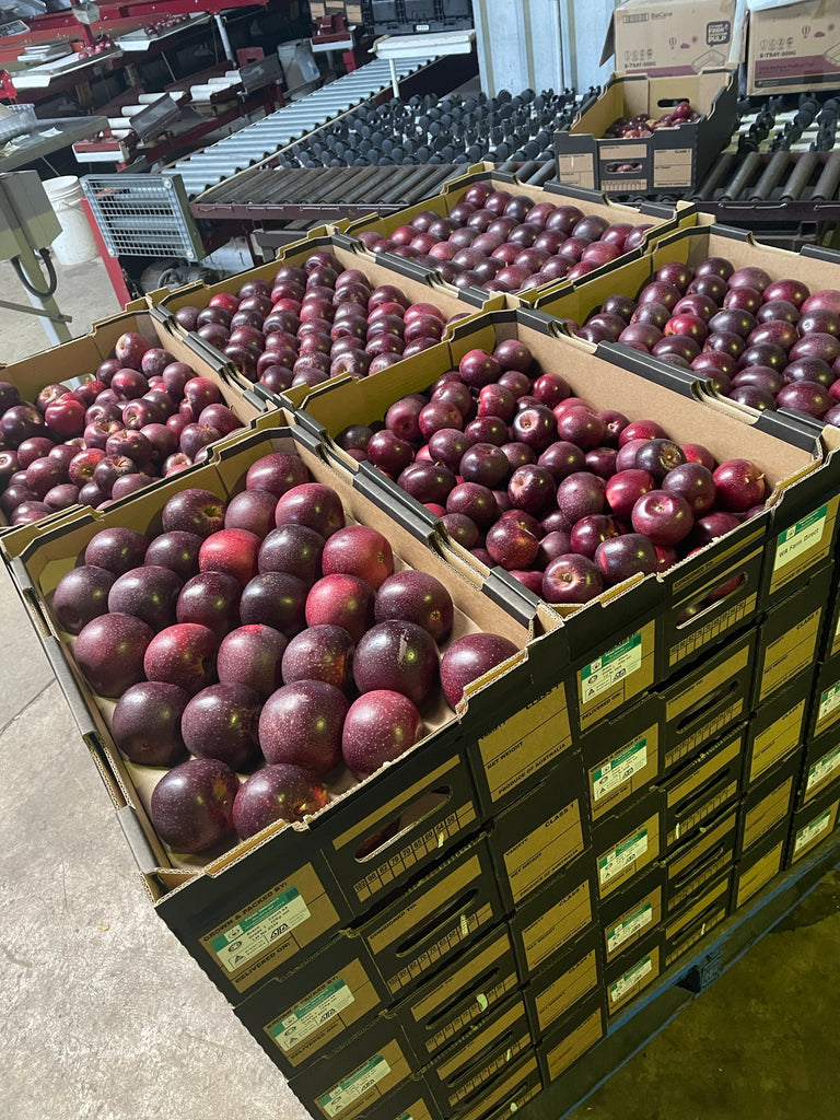Certified Organic Bravo Apples 12kg. Grade 1. Limited Quantities