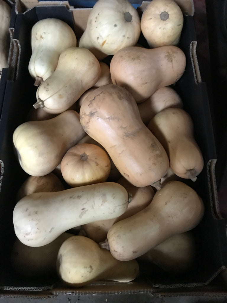 12kg BOX Organic Butternut Pumpkin