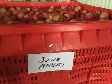 320kg BIN Organic Juicing Apples