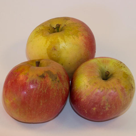 12kg BOX Organic 'Fuji' Apples Grade 2