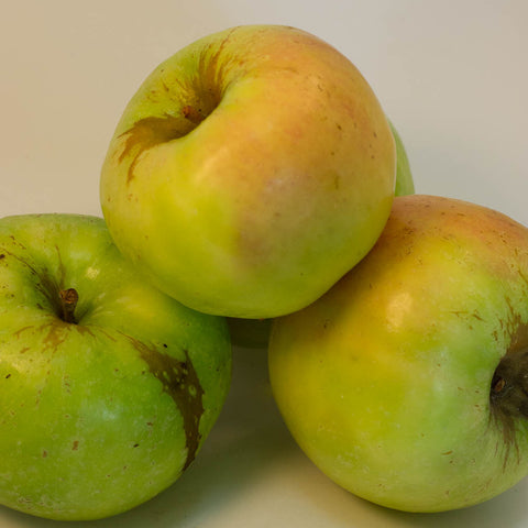 12kg Box Organic 'Granny Smith' Apples Grade 2