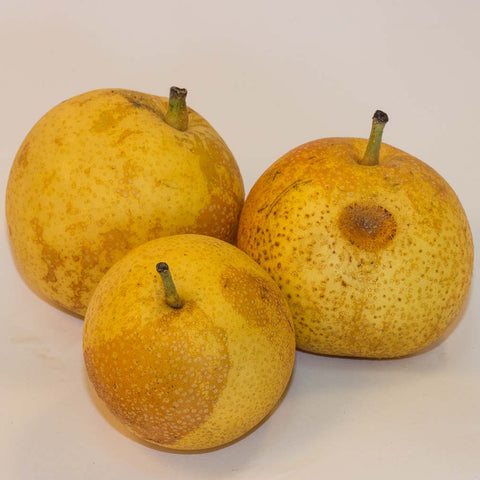 12kg BOX Organic 'Nashi' Pear Grade 2