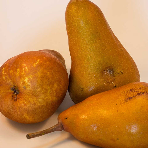 12kg BOX Organic 'Gold Rush' Pears Grade 2