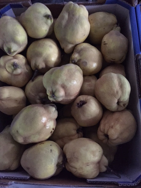 12kg Box Quince