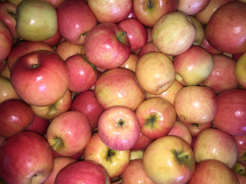 12kg BOX Organic 'Pink Lady' Apples Grade 2