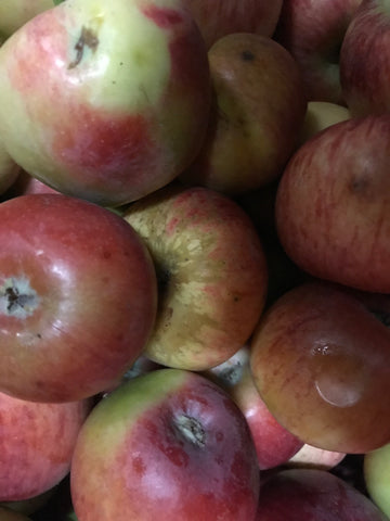 12kg Box Organic 'Kalei' Apples Grade 2