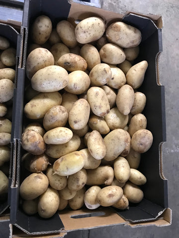 15kg BOX Potatoes Grade 2