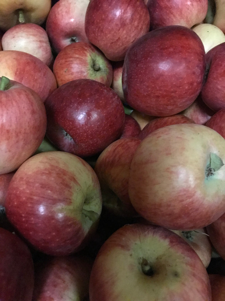 12kg BOX Organic 'Kalei' Apples Grade 1